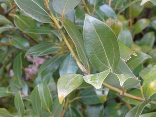 ～　何かいる！？　？　!!!　～