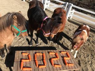 ぱかぱか広場のお正月