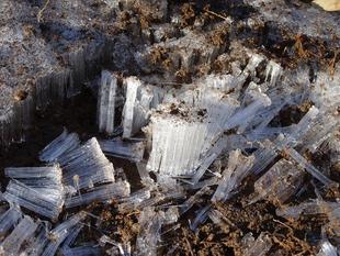 ～　しもばしら　～