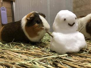 雪だるまつくろう〜♪