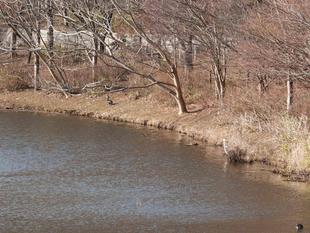 2月のズーラシア事情