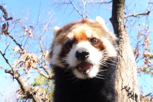 エコートレーニング①