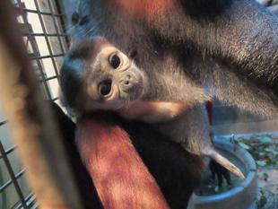 １月２９日に生まれました！