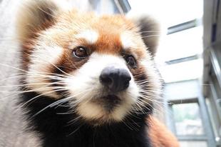 エコートレーニング③