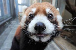 エコートレーニング②