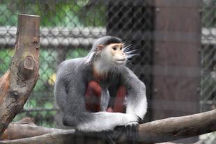 ありがとうアーニ