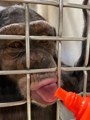 嬉しいお知らせをしたいのですが・・・