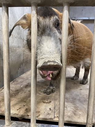 再び体重計に...！！