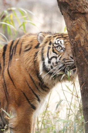 1月に2回出勤しました('ω')ノ