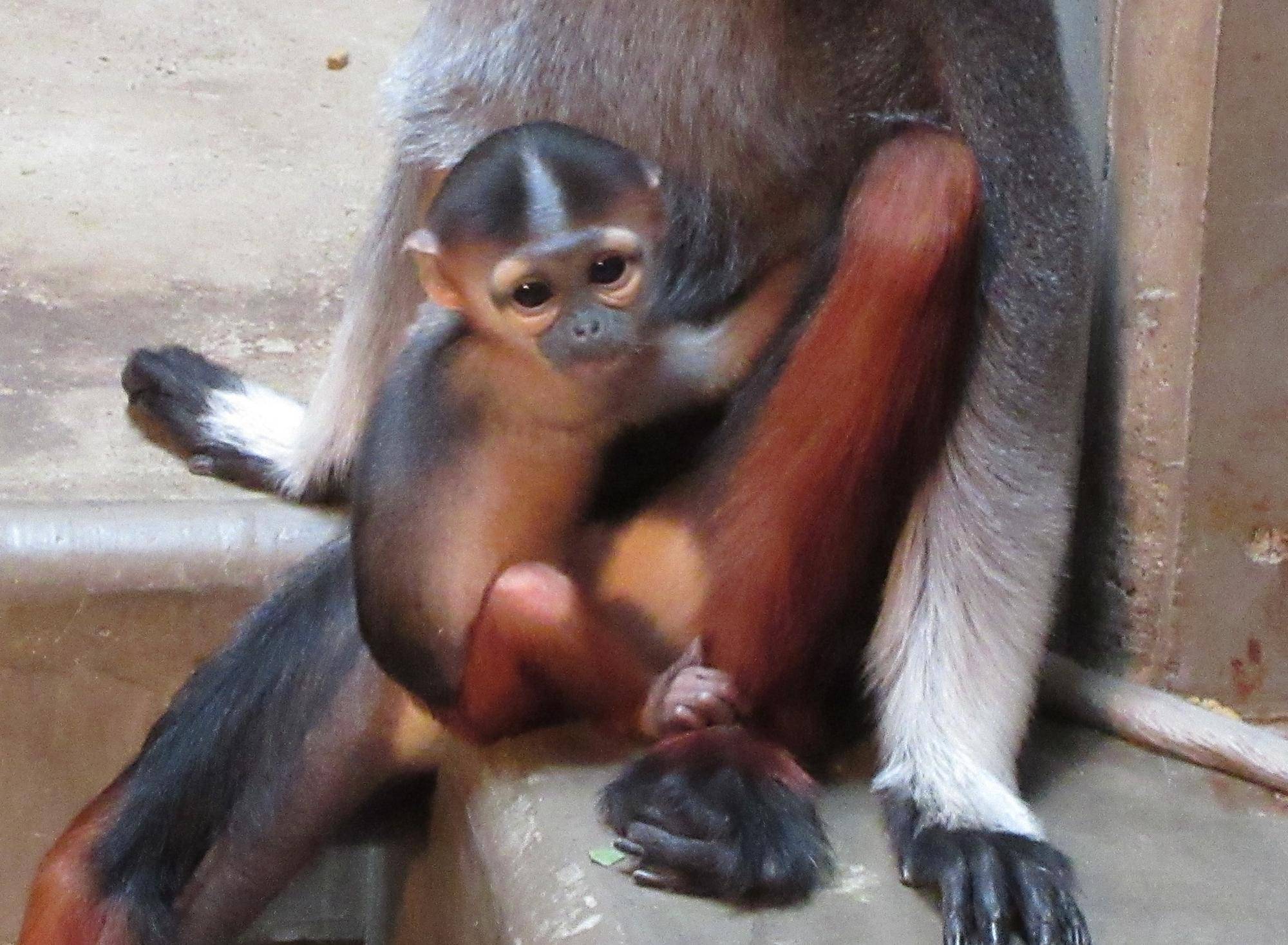 ムズムズするんです・・・!の写真