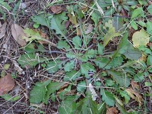 ～　ぺったり　～