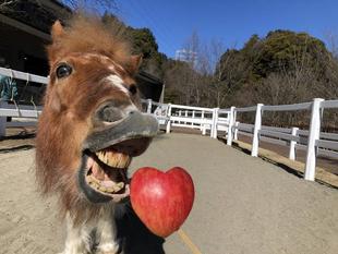 バレンタインの日には。
