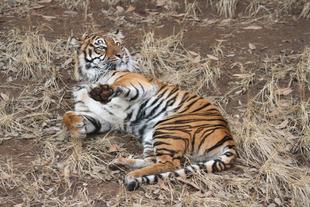 昔を振り返ると・・・(同居編)