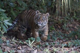 昔を振り返ると・・・(ムジュ編)