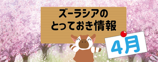 ズーラシアのとっておき情報　～4月編～