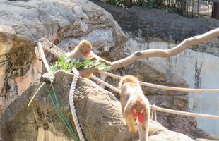 ホワイトデーらしい写真を