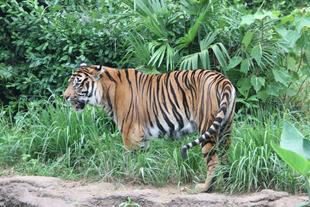 昔を振り返ると・・・(デル編)