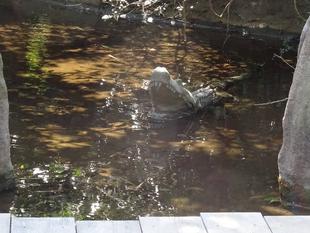 ~ 啓蟄よりも前に ~