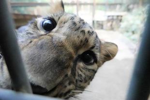 帰ろうよ、トライ・・・。