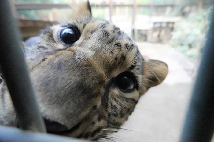 帰ろうよ、トライ・・・。の写真