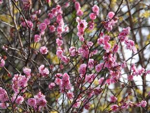 3月のズーラシア事情