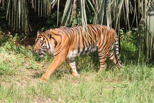 昔を振り返ると・・・(ガンター編)