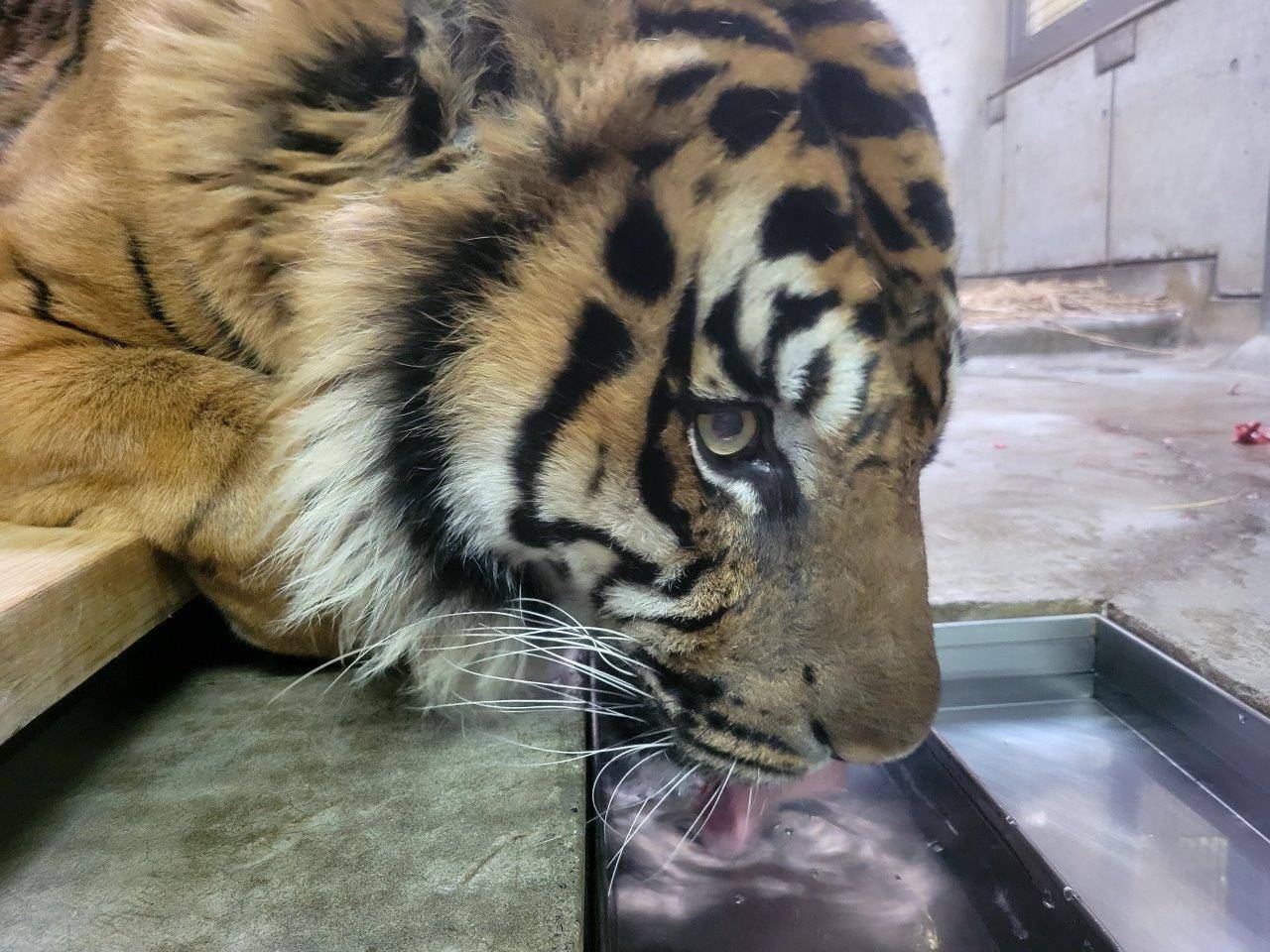 最後に・・・の写真