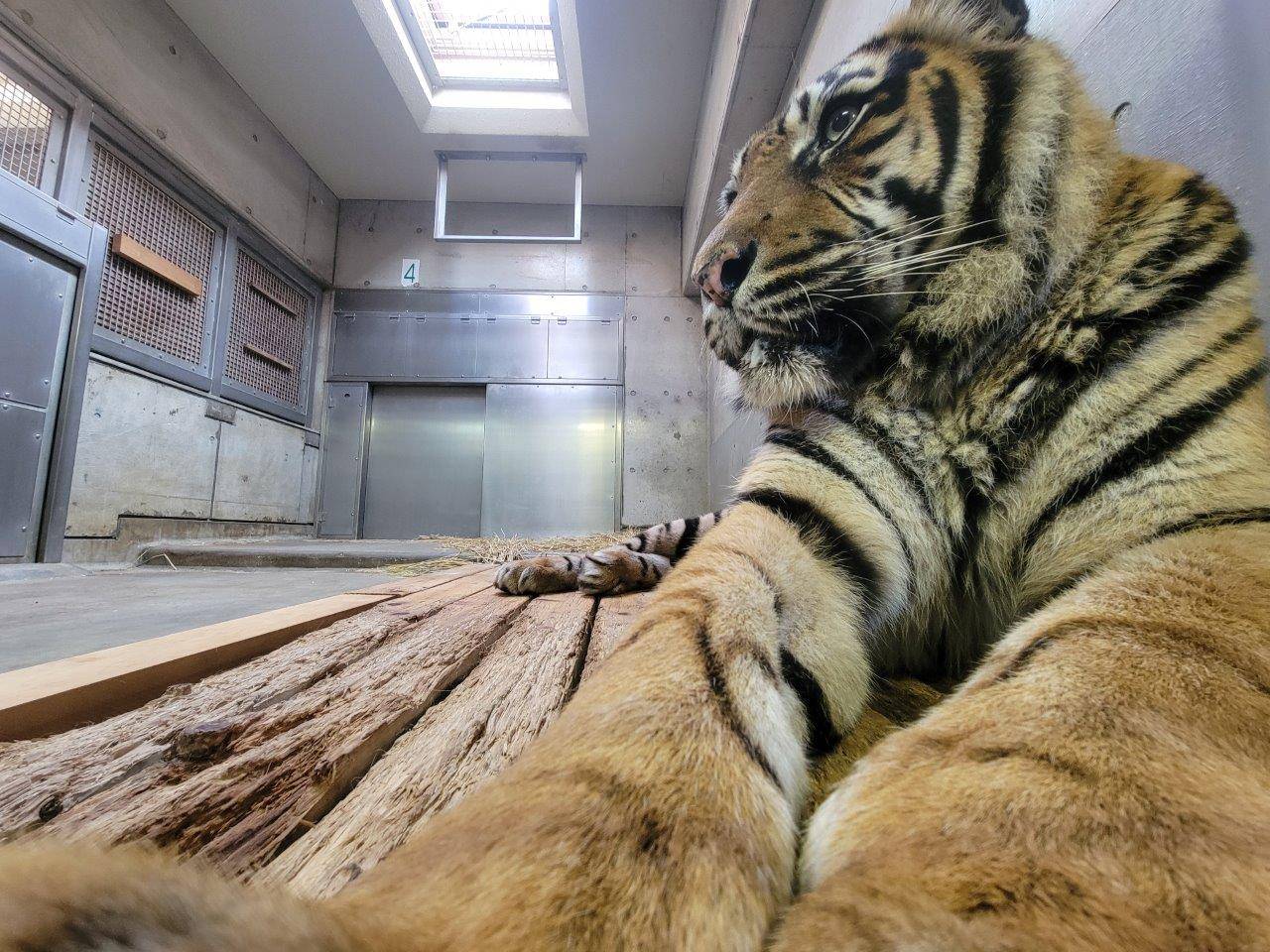面白い写真があったので・・・の写真