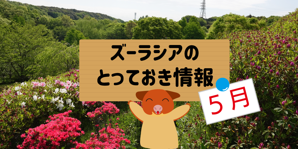 ズーラシアのとっておき情報 ~5月編~の写真