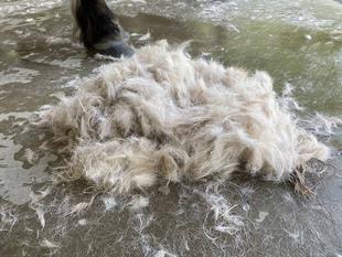 今年はサマーカット！！