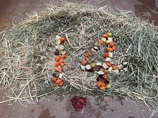 14歳になりました！！