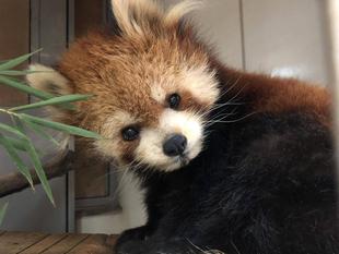 これまでも、これからも!