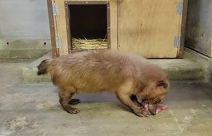 試行錯誤継続中・・・①