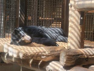 日向は気持ちいいのかな??