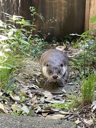 上が気になる...