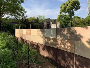 突如現れた高い壁...(｢｀･д･)｢