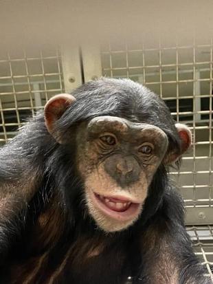 （続）嬉しいお知らせをしたいのですが・・・