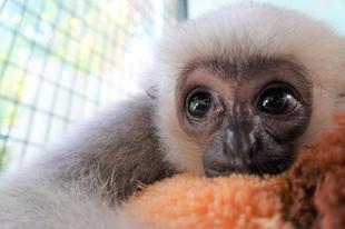 久しぶりのプロイ公開!