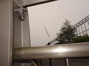 ～　擬態☆見つけたい！　＃3　～