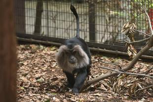 メンバー紹介①