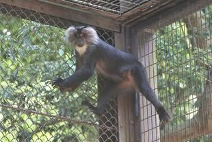 メンバー紹介②