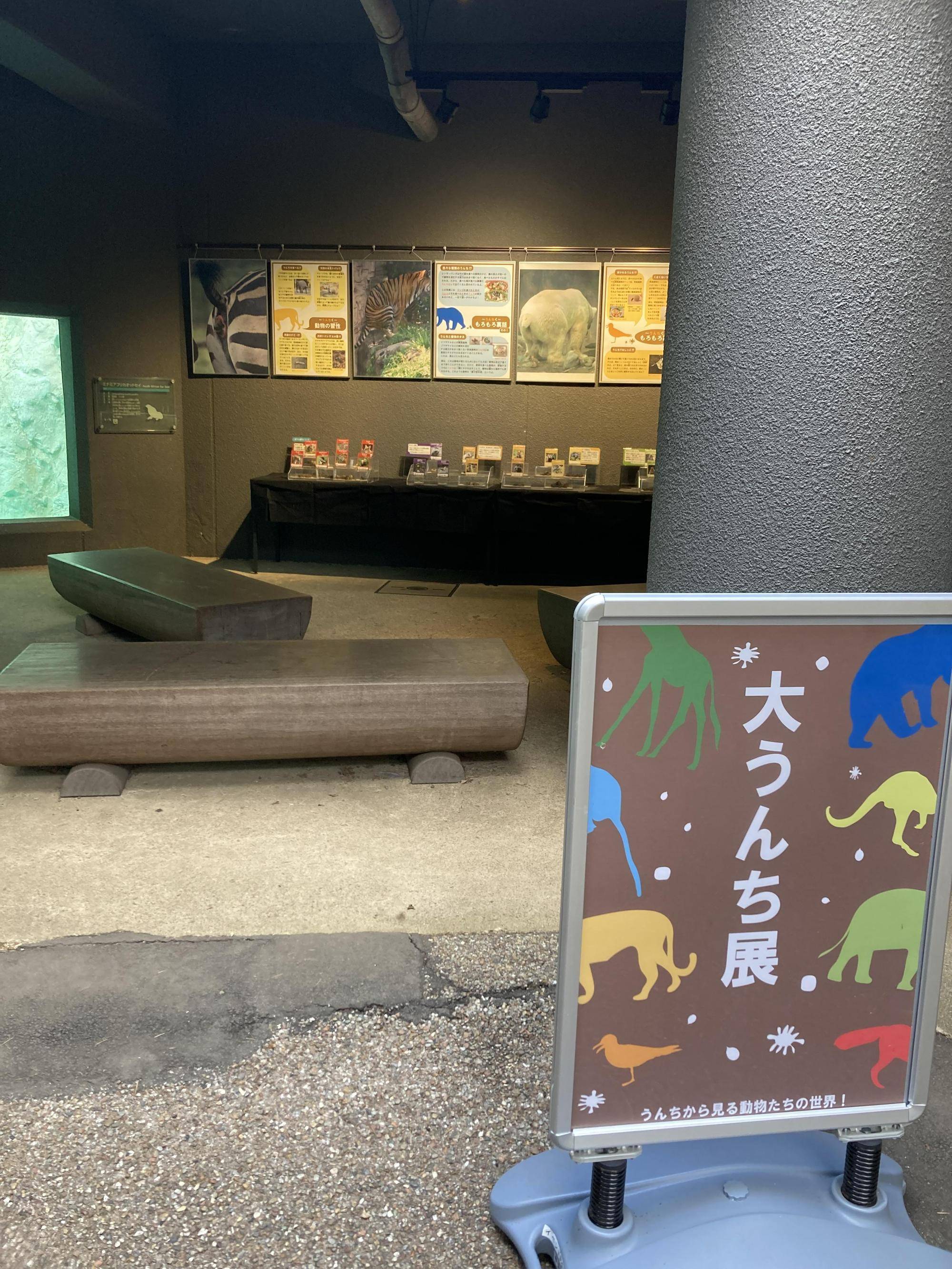 大うんち展終了間近!!の写真