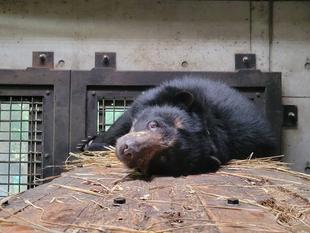 同じ高さの目線