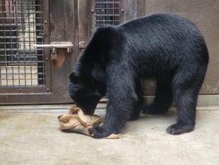 こちらも試行錯誤しながら