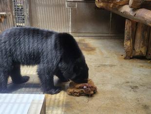 ドンゴロス（麻袋）の再利用