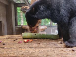 こちらも試行錯誤しながら・・・②