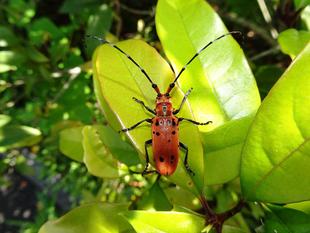 ～　６月4・5・6日　～