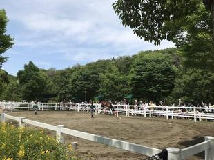 ポニーのジャンプショーが再開しました！