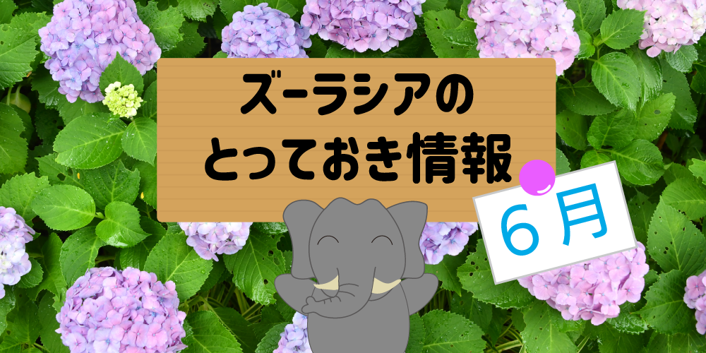 ズーラシアのとっておき情報 ~6月編~の写真