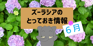 ズーラシアのとっておき情報　～６月編～